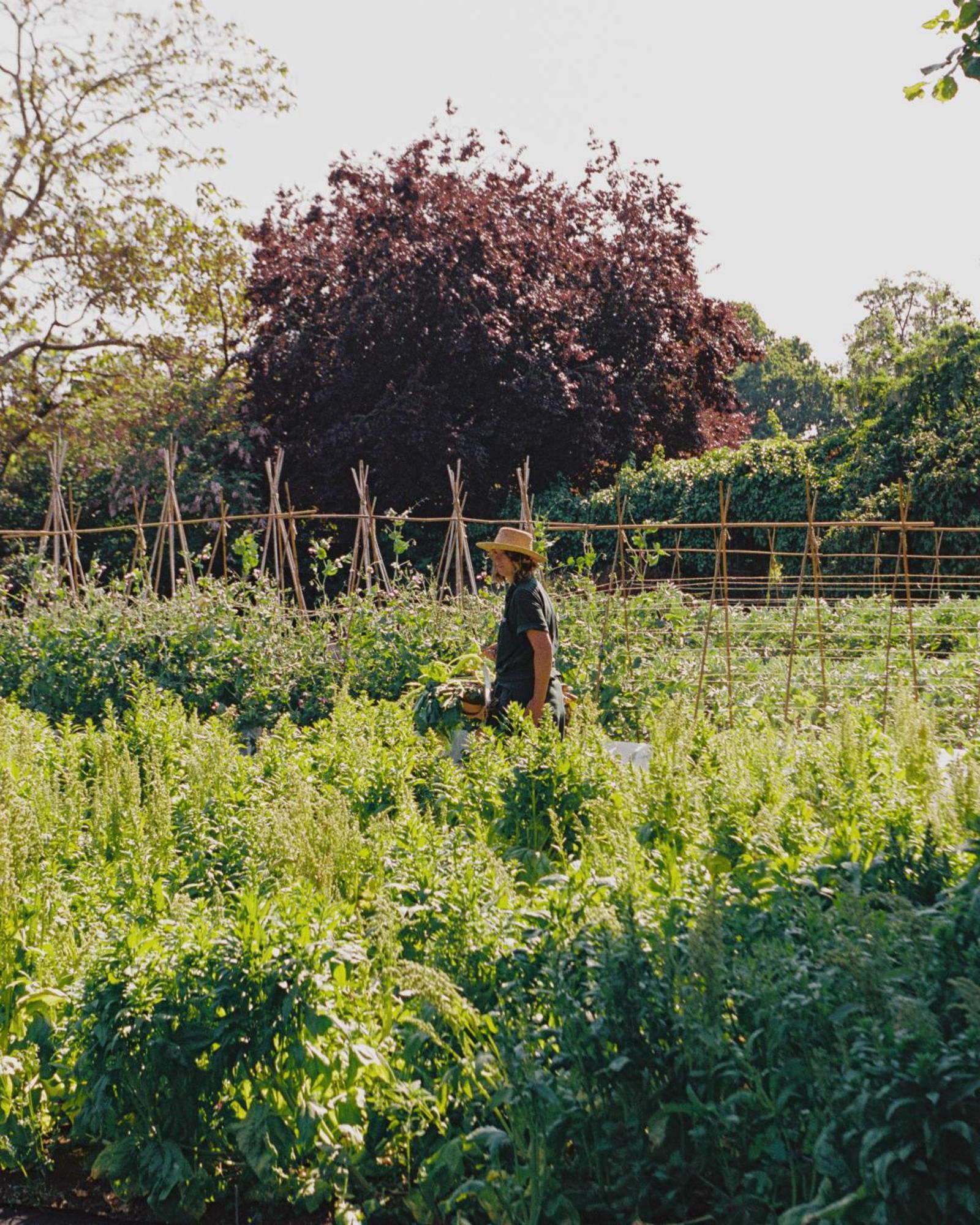 Le Manoir Aux Quat'Saisons, A Belmond Hotel, Oxfordshire Great Milton Exteriör bild